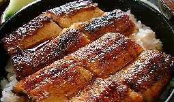 うなぎのかわの