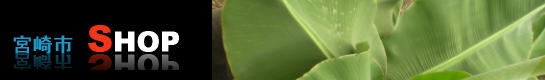 宮崎市　SHOP
