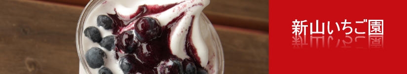 新山いちご園