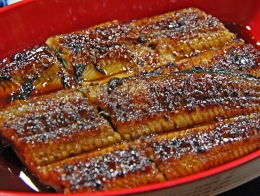 うなぎのかわの